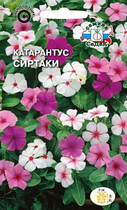 Катарантус (барвинок)_Сиртаки см_0,1_г._Седек