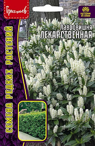 Лавровишня_Лекарственная б/ф_3_шт._Григорьев