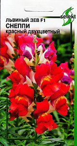 Львиный зев (антирринум)_Снеппи Красный двуцветный_15_шт._Дом Семян С-П