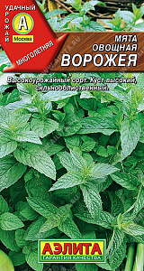 Мята_Ворожея_0_г._Аэлита