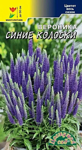 Вероника_Синие Колоски_0,04_г._Цветущий Сад