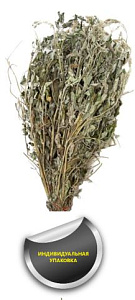 Трава-запарник МЯТА БЕЛАЯ (в упаковке)