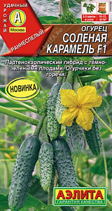 Огурец_Соленая Карамель F1_0,04_шт._Аэлита