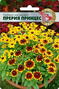 Рудбекия_Прерия Принцес (карликовая)_10_шт._Биотехника