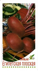 Свекла_Египетская плоская_120_шт._Дом Семян С-П