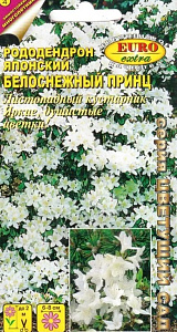 Рододендрон_Садовый принц (реснитчаточешуйчатый)_0_г._Аэлита Э