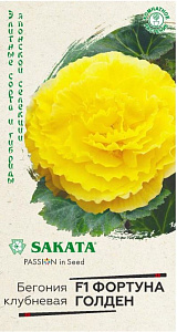 Бегония_Фортуна F1 Голден (клубн) (Sakata)_4_шт._Гавриш