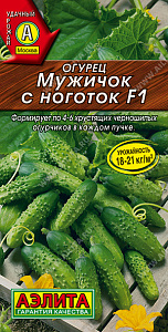 Огурец_Мужичок с ноготок F1_10_шт._Аэлита