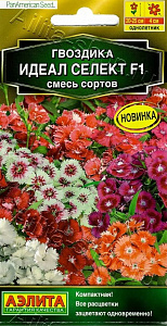 Гвоздика_Идеал Селект F1 см (Америка)_7_шт._Аэлита