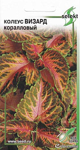 Колеус_Визард Коралловый_0,04_шт._Дом Семян С-П