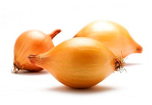 ГЕРКУЛЕС 14-21 мм