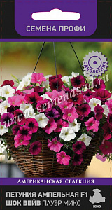 Петуния_Шок Вейв F1 Пауэр микс (амп) (профи Америка)_5_шт._Поиск