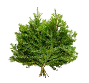 Веник ПИХТА ПРОМО ЛАПНИК