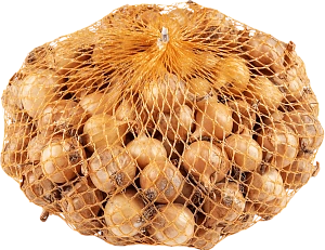 Лук-севок Штуттгартер Россия  ( средний ) фасовка 1 кг