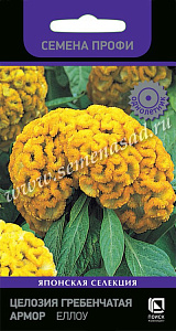 Целозия_Армор Еллоу (гребенчатая)_15_шт._Поиск