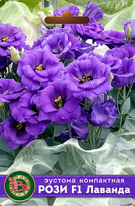 Эустома (Лизиантус)_Рози F1 Лаванда (махр)_5_шт._Биотехника