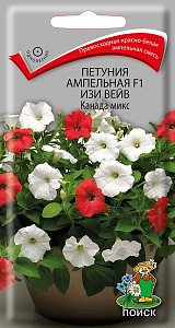 Петуния_Изи Вейв F1 Канада микс (амп)_5_шт._Поиск