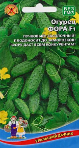 Огурец_Фора F1_0,04_шт._Уральский Дачник