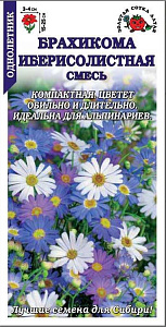 Брахикома_Иберисолистная см_0,1_г._Золотая Сотка Алтая