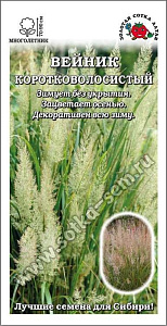 Вейник_Коротковолосистый (злак)_3_шт._Золотая Сотка Алтая