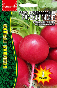 Редис_Русский гигант б/ф_3_г._Григорьев