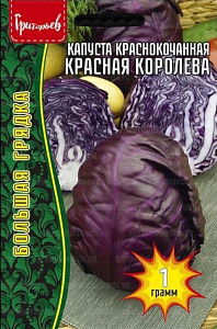 Капуста_кр/к_Красная Королева б/ф_1_г._Григорьев