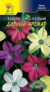 Табак душистый_Дивный аромат см_0,2_г._Цветущий Сад