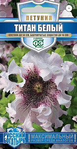 Глоксиния_Жизель_5_шт._Поиск