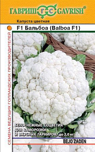 Капуста_цветная_Балбоа F1 (Бейо)_10_шт._Гавриш
