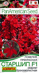 Лобелия_Старшип F1 Скарлет (бронзоволистная) (PanAmerican)_5_шт._Аэлита