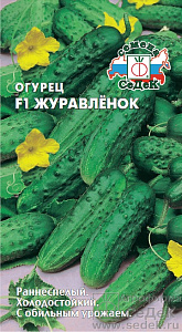 Огурец_Журавленок F1_0,3_г._Седек