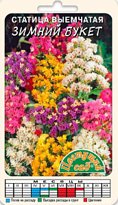 Статица (лимониум)_Зимний букет_0,04_г._Цветущий Сад