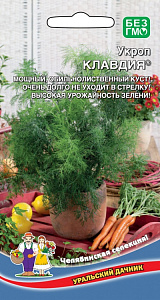 Укроп_Клавдия_2_г._Уральский Дачник