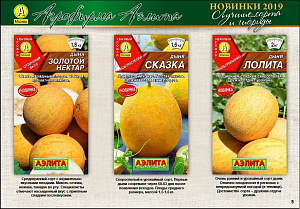 Дыня_Лолита_1_г._Аэлита