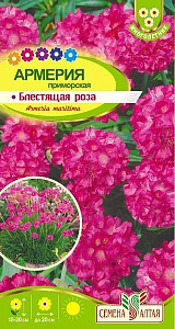 Армерия_Блестящая роза_0_г._Семена Алтая