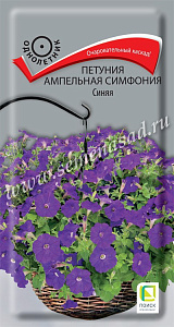 Петуния_Симфония Синяя (амп)_0_г._Поиск