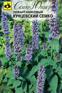 Лофант (многоколосник, мята мексиканская)_анисовый Кунцевский Семко 24 год._0,04_г._Семко