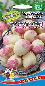 Картофель_Пикассо_0_г._Уральский Дачник