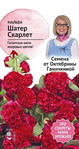 Шток-роза (мальва)_Шатер Скарлет_0,1_г._АгроСидсТрейд