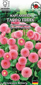 Маргаритка_Тассо Пинк_0,04_шт._Золотая Сотка Алтая