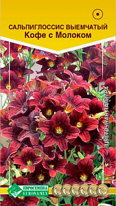 Сальпиглоссис_Кофе с Молоком_5_шт._Евросемена
