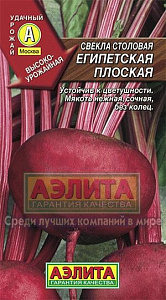 Свекла_Египетская плоская_3_г._Аэлита