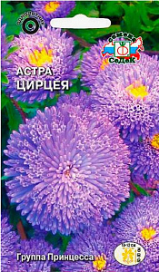 Астра_Цирцея (принцесса, голубая)_0,2_г._Седек