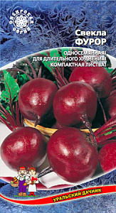 Свекла_Фурор_2_г._Уральский Дачник