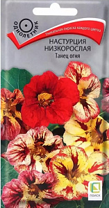 Настурция_Танец Огня_1_г._Поиск