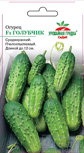 Огурец_Голубчик F1_0,3_г._Седек