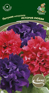 Петуния_История любви (махр)_10_шт._Поиск