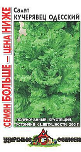 Салат_Кучерявец Одесский (п/кочан) Семян больше_1_г._Гавриш