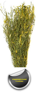 Трава-запарник ДОННИК (в упаковке)