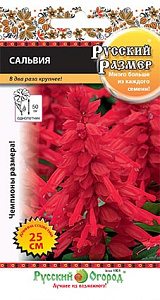 Сальвия_Русский размер Красная_20_шт._НК